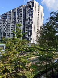 Blk 487 Segar Grove (Bukit Panjang), HDB 4 Rooms #552766641